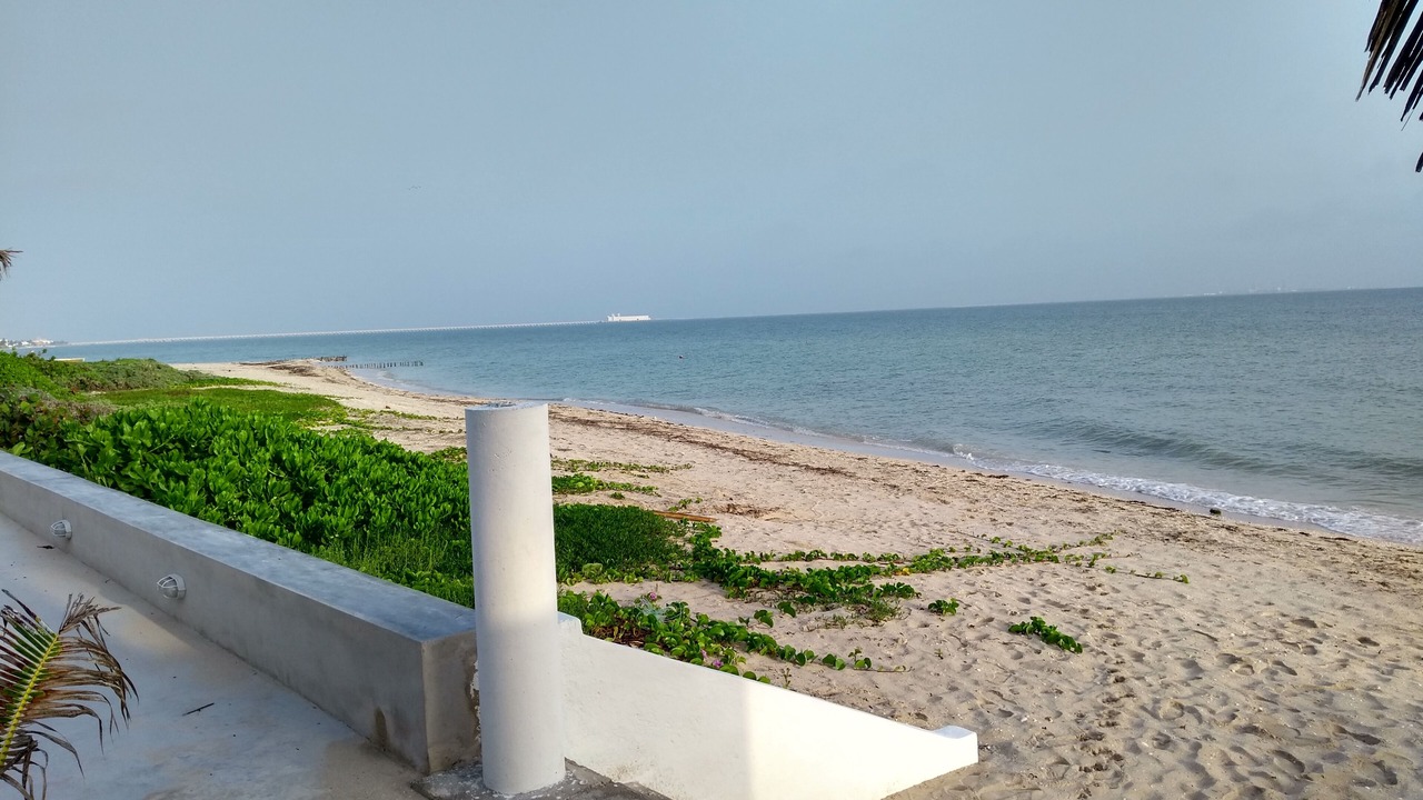 Photo of Others in Chicxulub Puerto