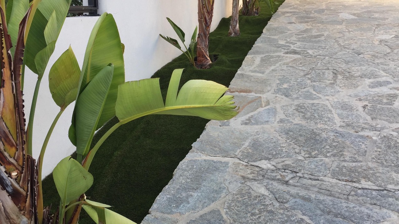 Photo of Outdoor in Ajaccio
