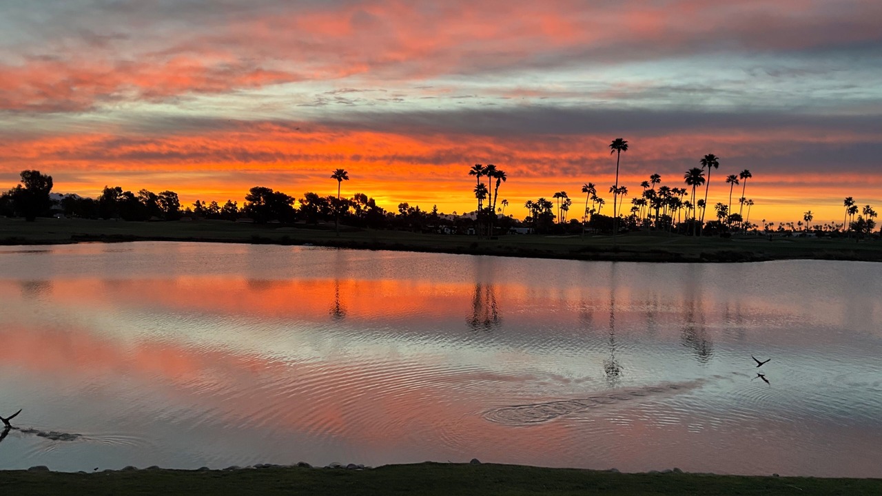 Photo of Others in South Scottsdale