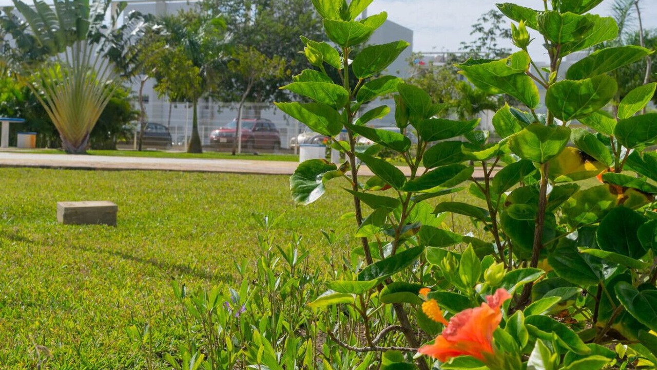 Photo of Outdoor in Puerto Juarez