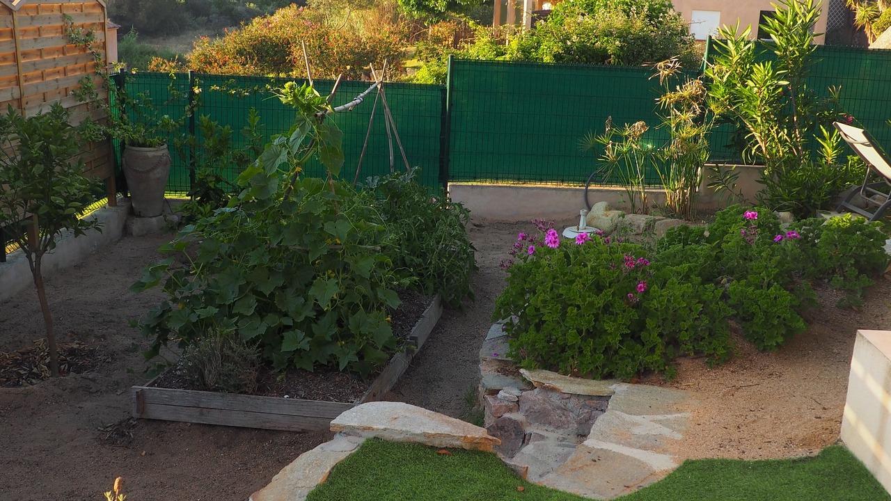 Photo of Outdoor in Molini