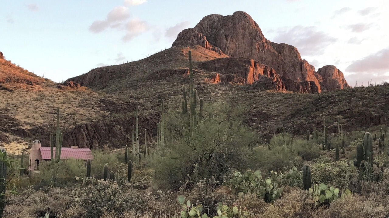 Photo of Outdoor in Tucson