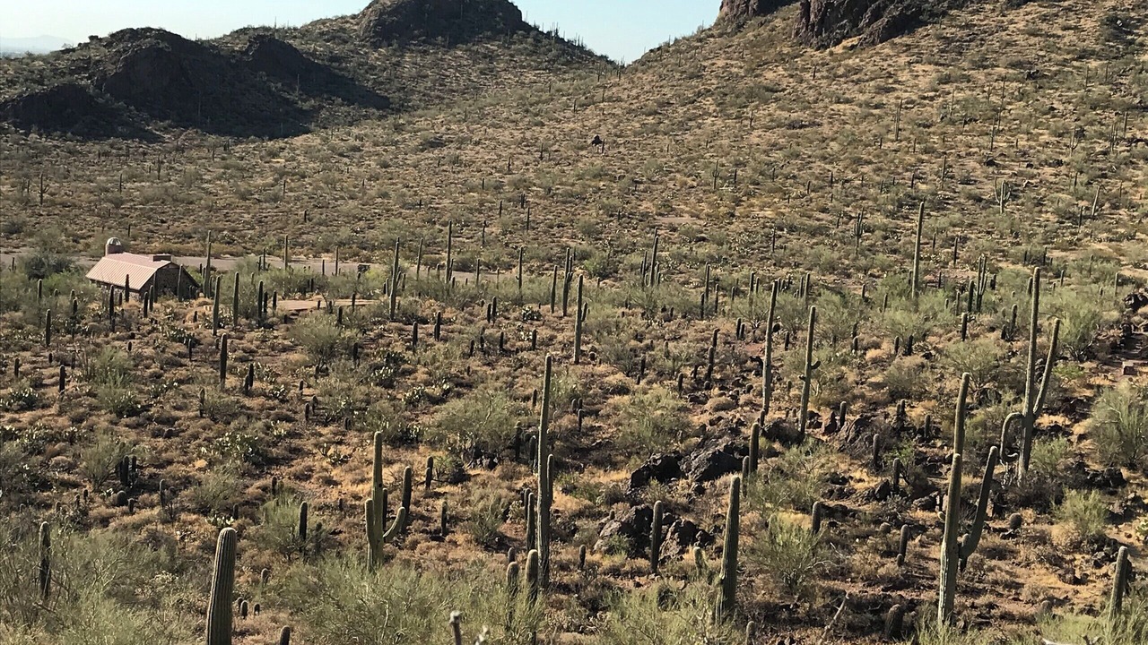 Photo of Outdoor in Tucson