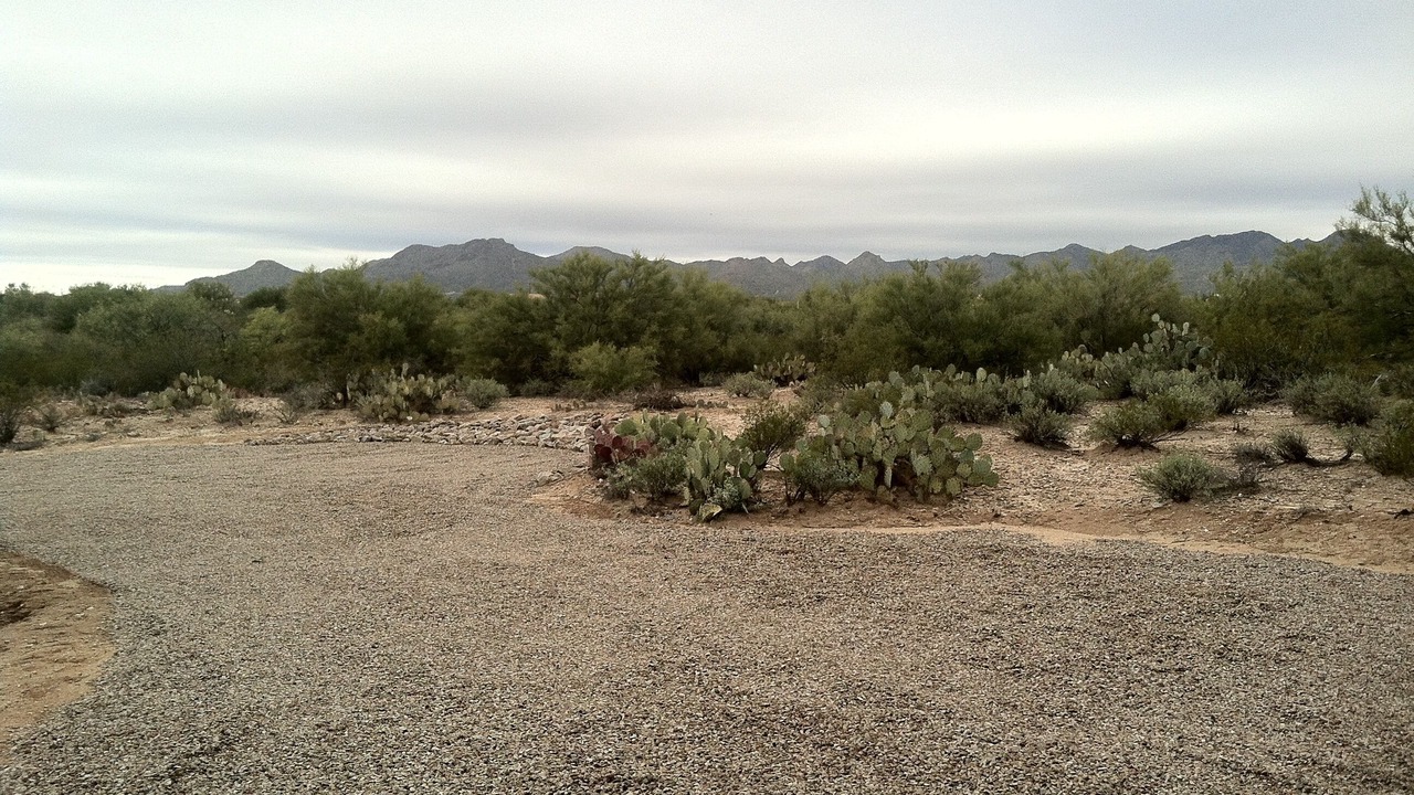 Photo of Others in Oro Valley