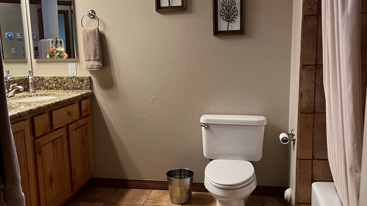 Photo of Bathroom in Torreon