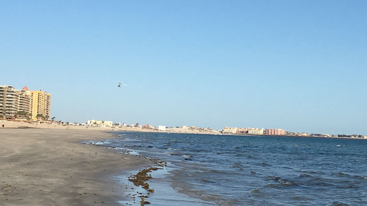 Photo of Others in Puerto Penasco