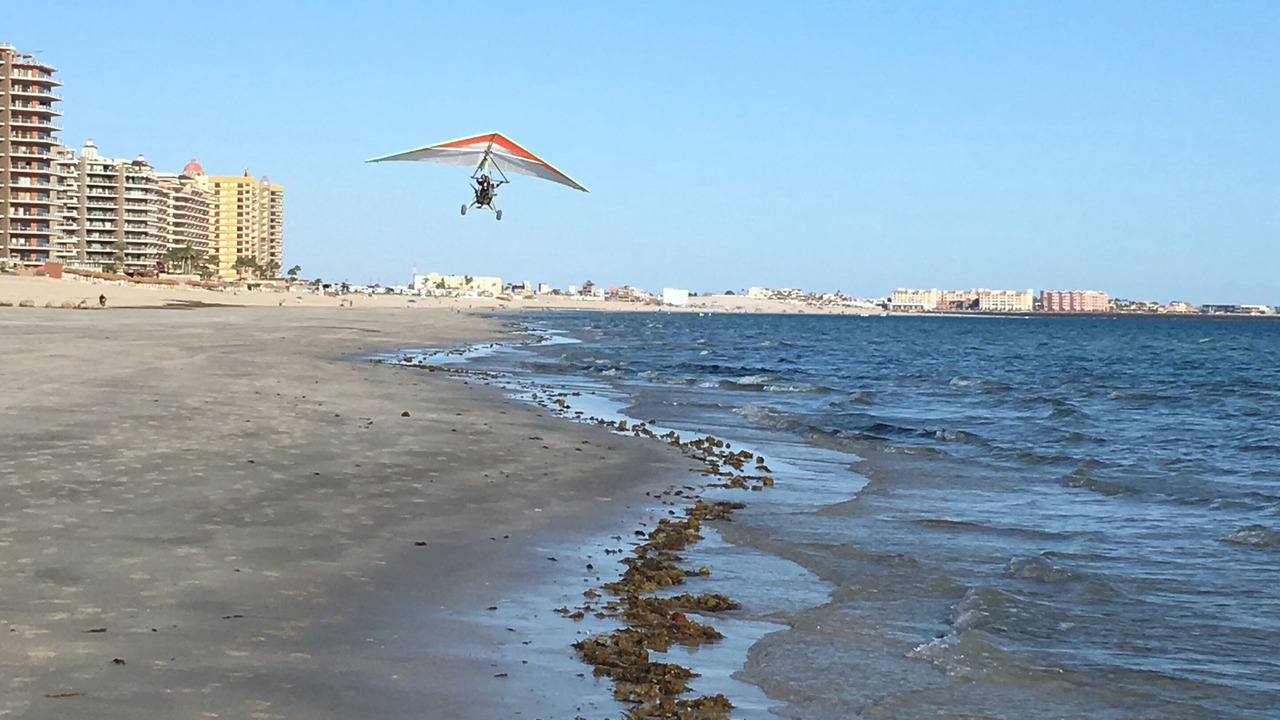 Photo of Others in Puerto Penasco
