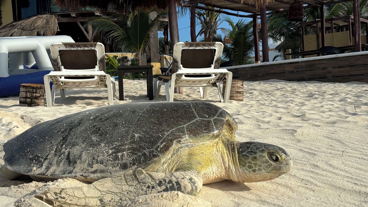 Photo of Others in Playa del Secreto