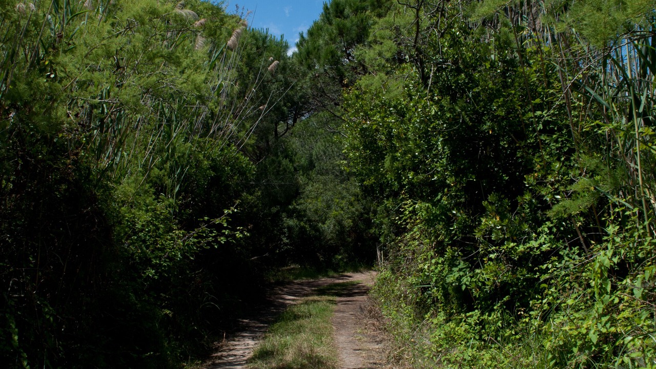 Photo of Outdoor in Hameau de Palombaggia