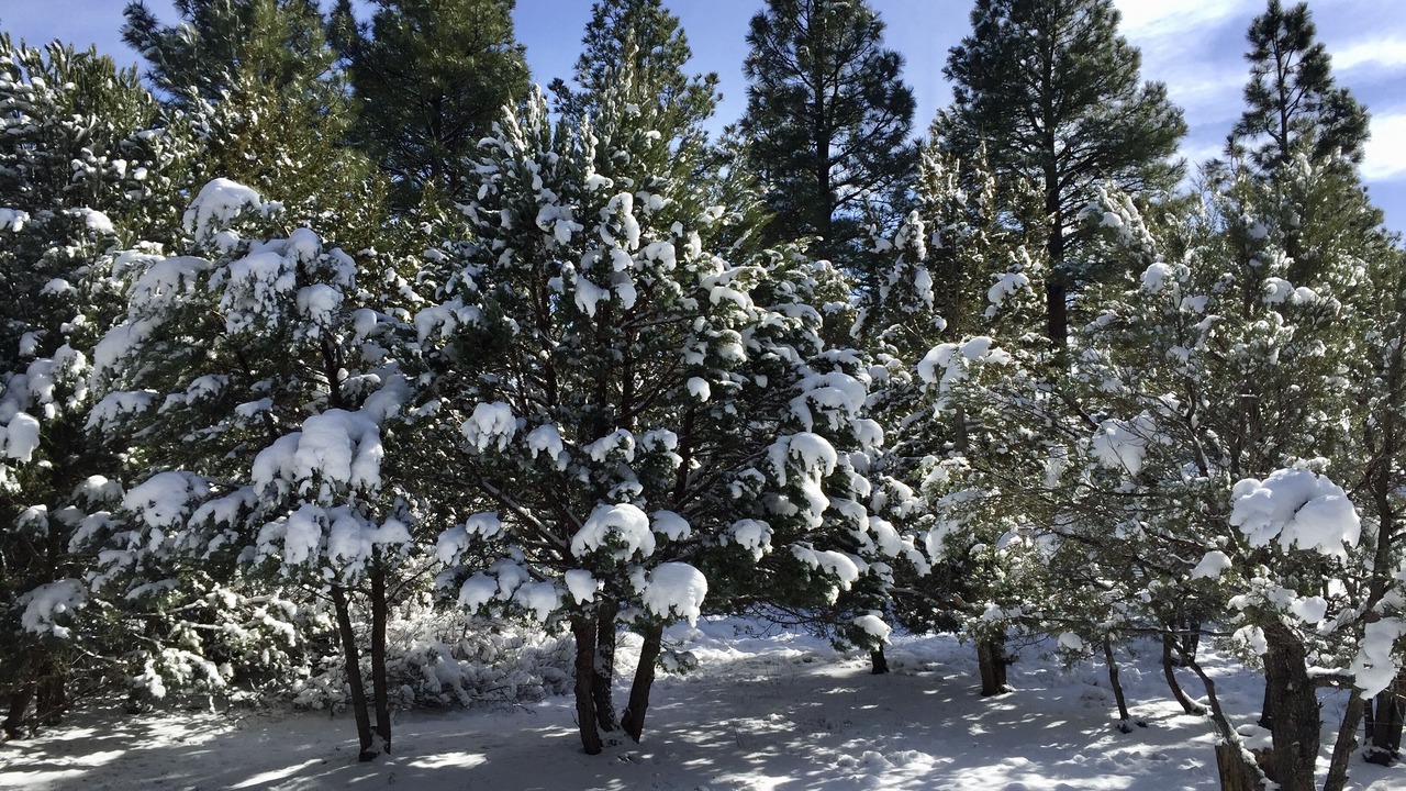 Photo of Outdoor in Overgaard
