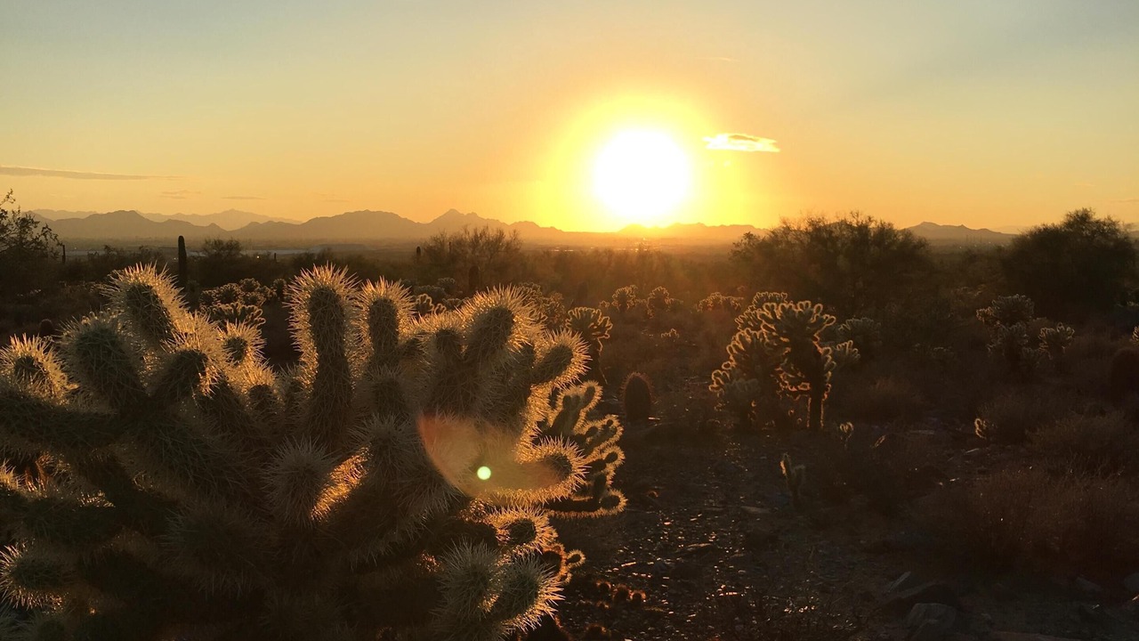 Photo of Others in Central Scottsdale