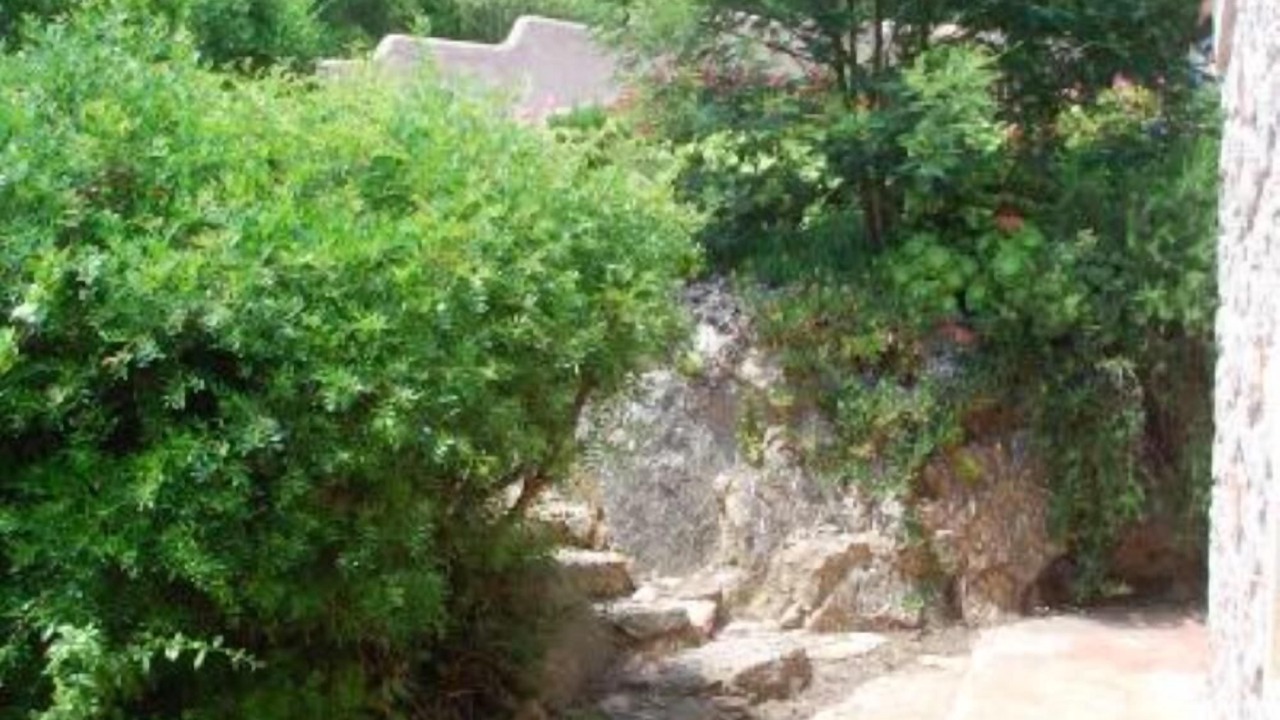 Photo of Outdoor in Hameau de Palombaggia