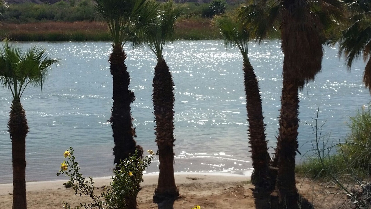 Photo of Others in Yuma