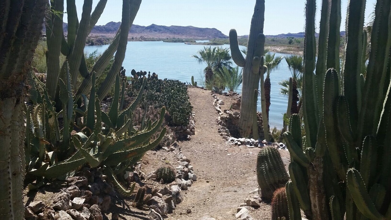 Photo of Others in Yuma