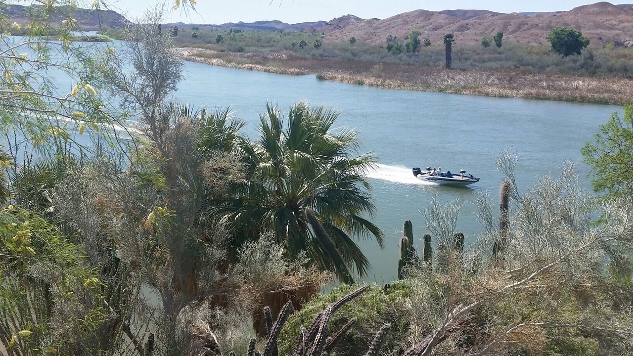 Photo of Others in Yuma