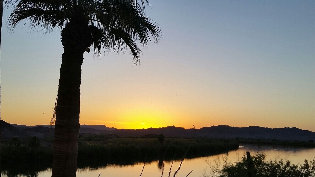 Photo of Others in Yuma