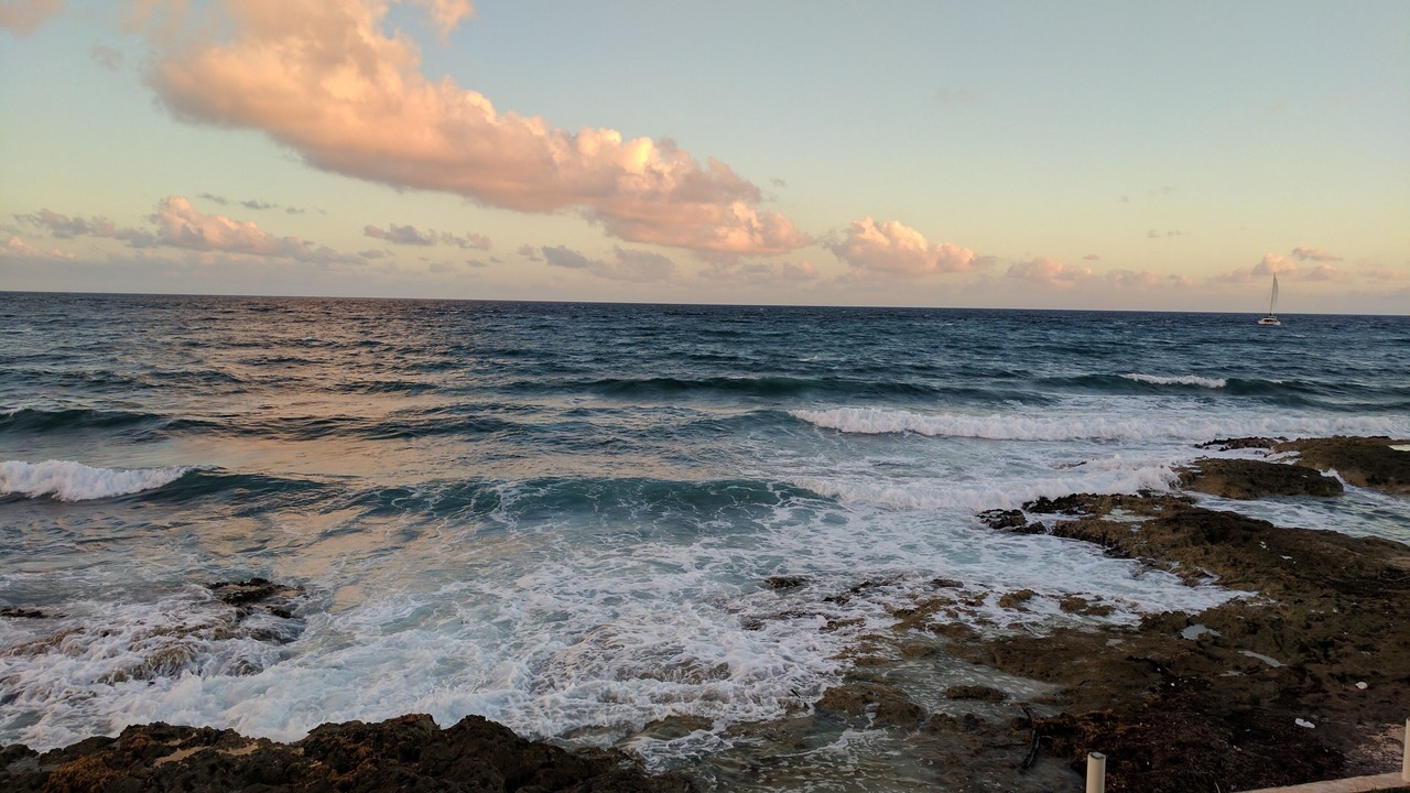 Photo of Others in Puerto Aventuras