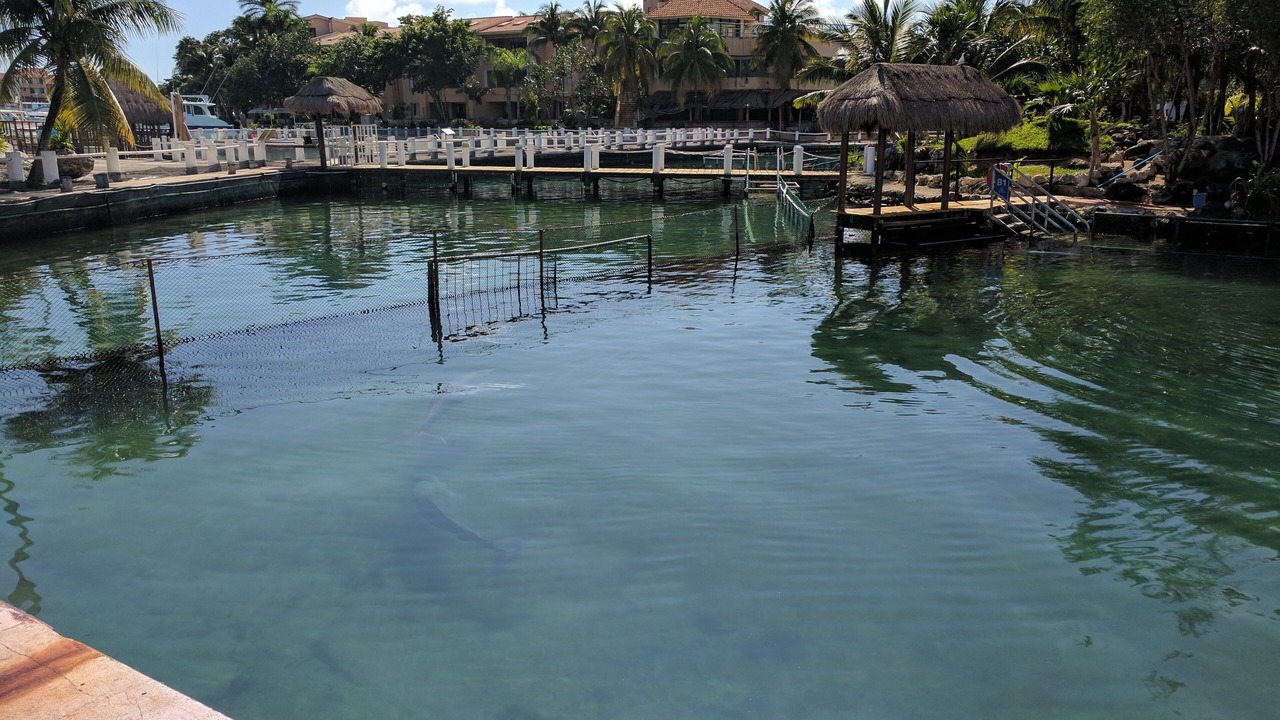 Photo of Others in Puerto Aventuras