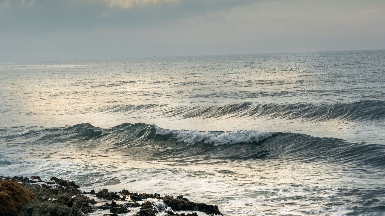 Photo of Others in Puerto Aventuras