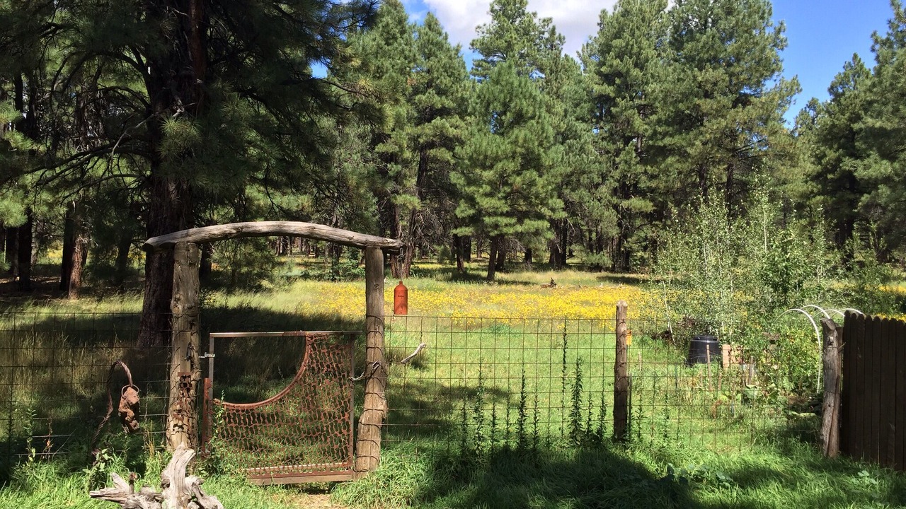 Photo of Outdoor in Mountainaire