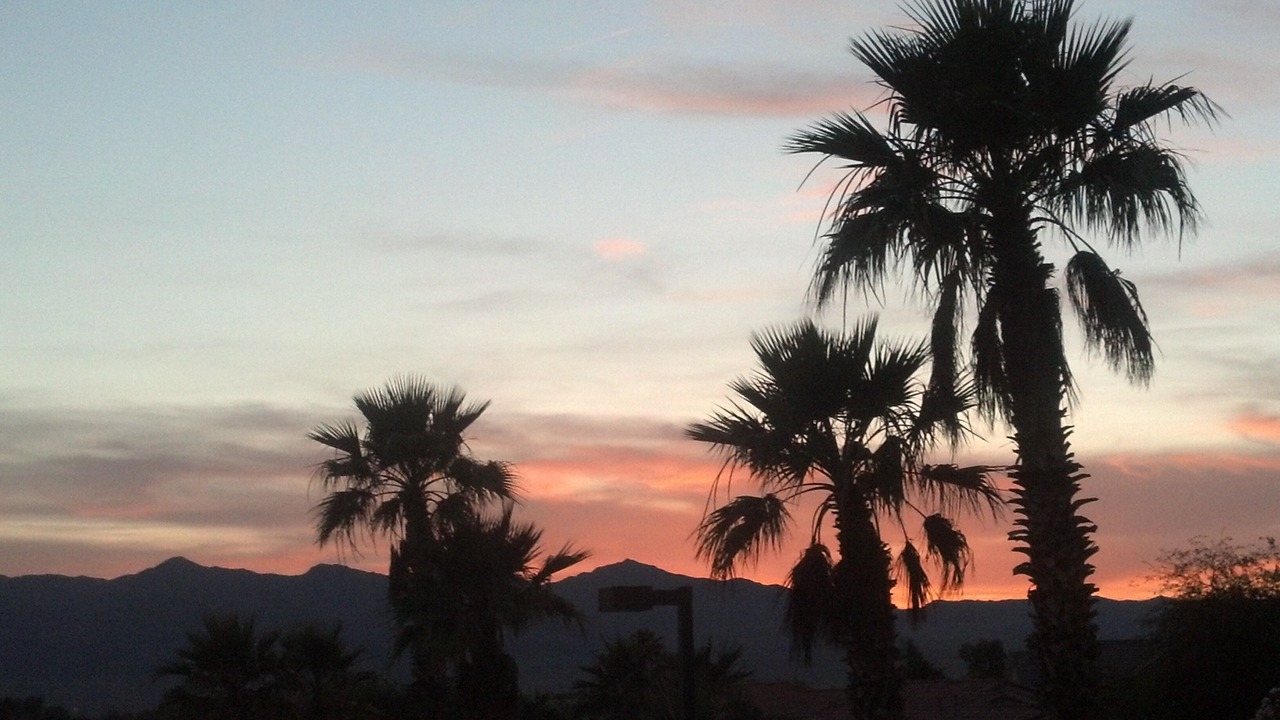 Photo of Others in Fort Mohave