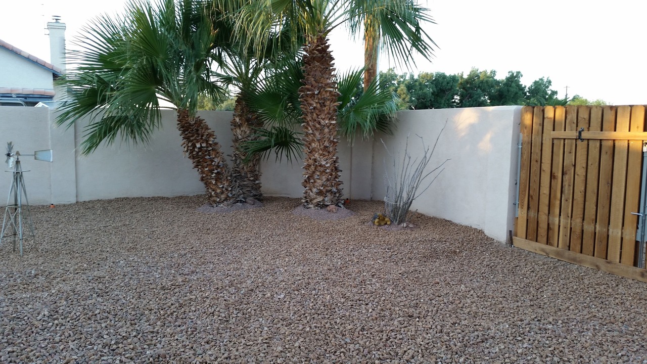 Photo of Outdoor in Fort Mohave