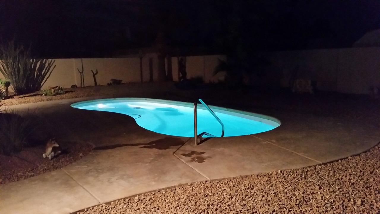 Photo of Outdoor in Fort Mohave