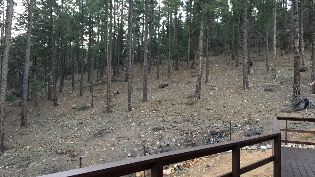 Photo of Others in Prescott