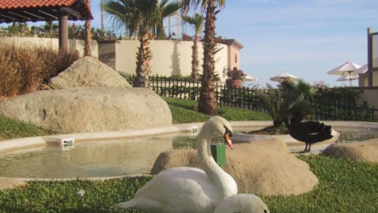 Photo of Others in Paraiso Escondido