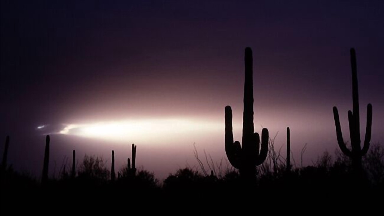 Photo of Others in Tucson Estates