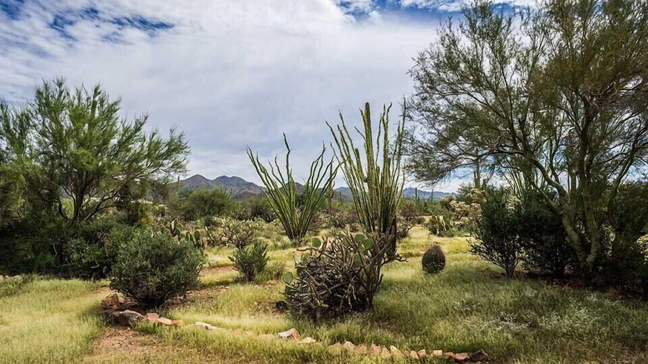 Photo of Others in Tucson Estates