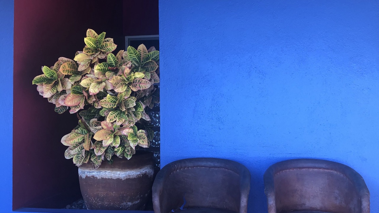 Photo of Outdoor in Barra de Colotepec