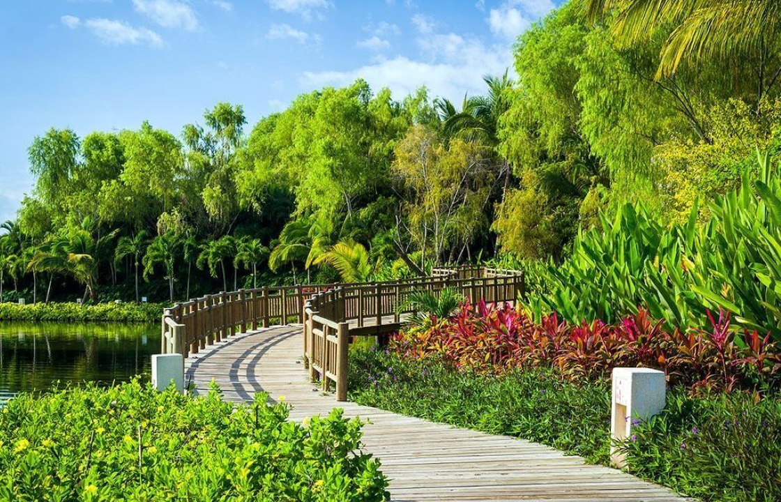 Photo of Outdoor in Nuevo Vallarta