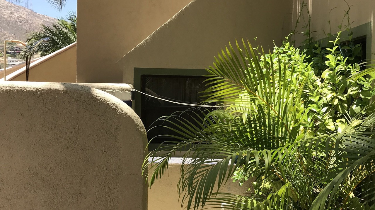 Photo of Outdoor in San Jose del Cabo