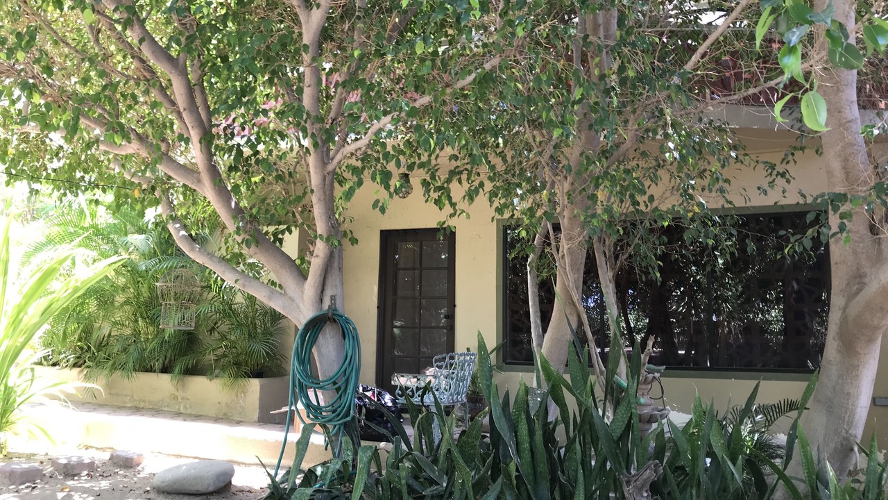 Photo of Outdoor in San Jose del Cabo