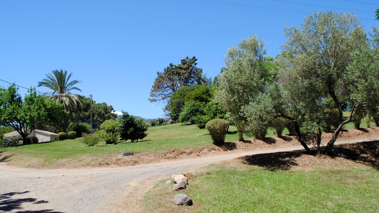 Photo of Outdoor in Prunete