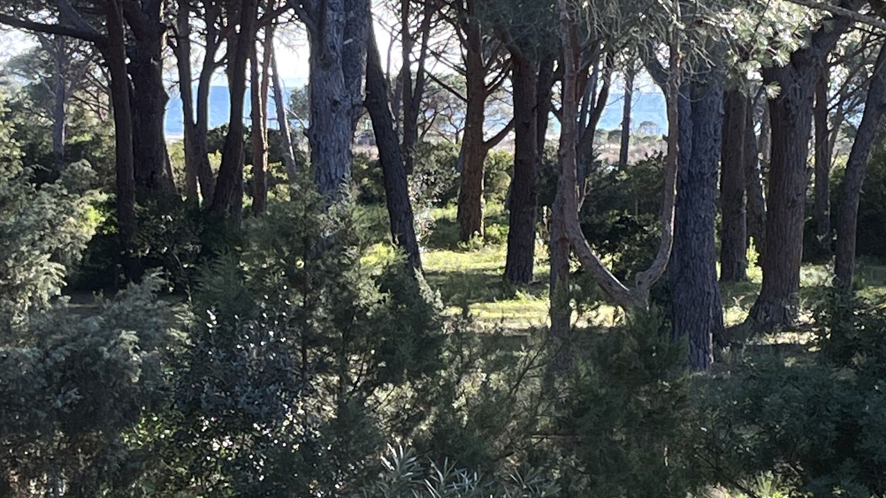 Photo of Outdoor in Hameau de Palombaggia