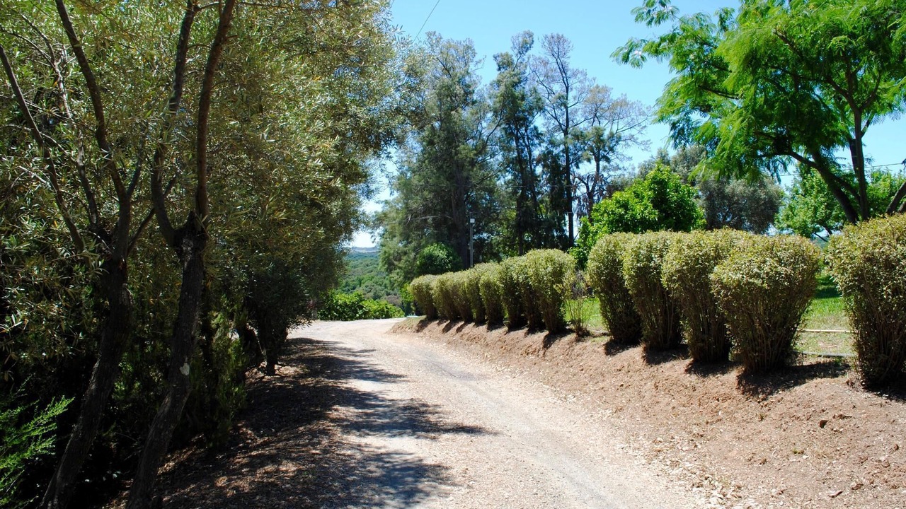 Photo of Outdoor in Cervione