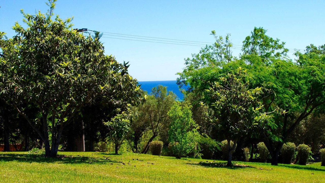 Photo of Outdoor in Cervione
