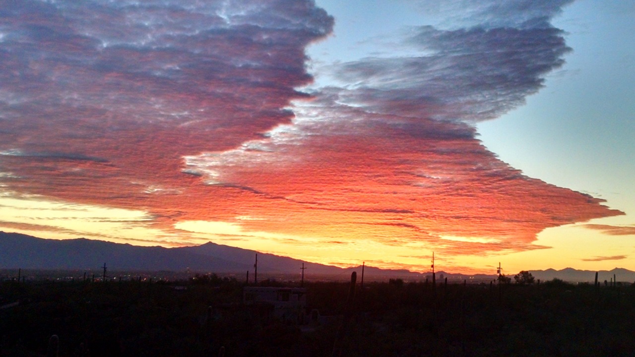 Photo of Others in Tucson