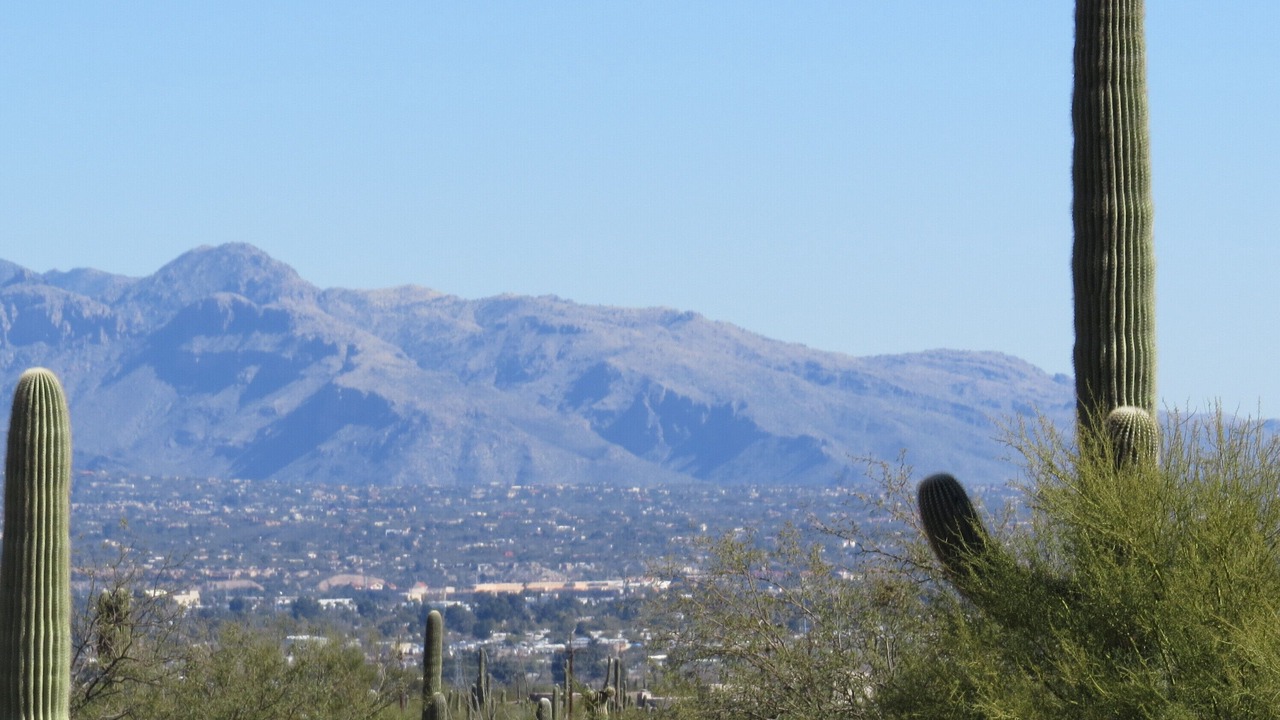 Photo of Others in Tucson