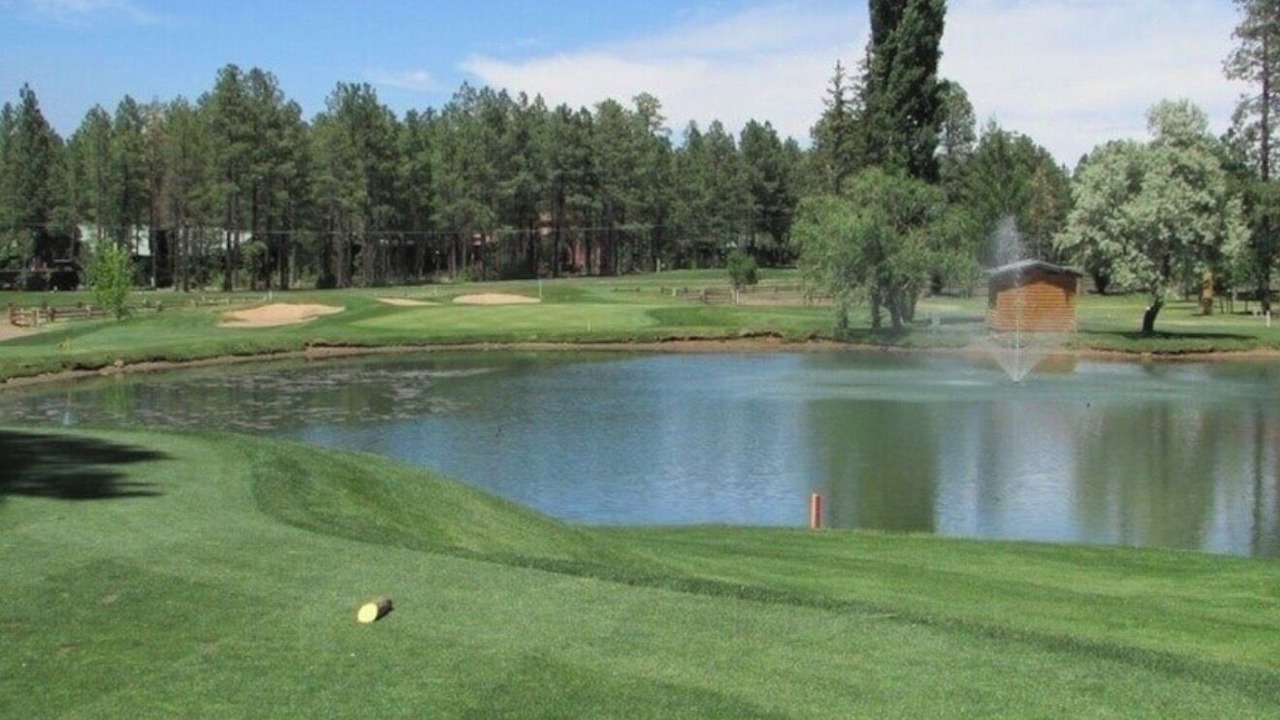 Photo of Others in Pinetop