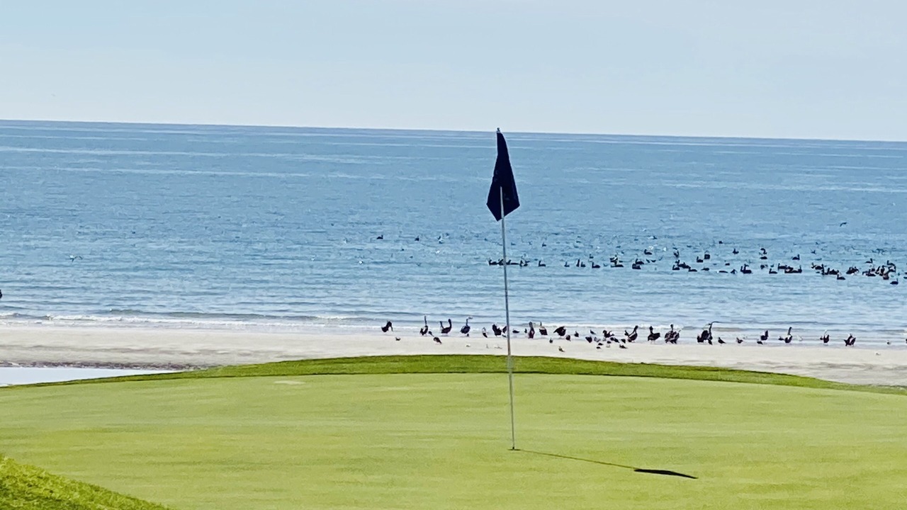 Photo of Others in Puerto Penasco