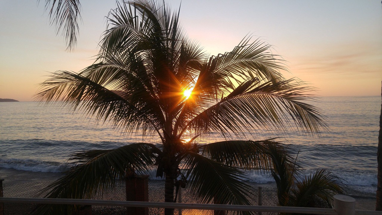 Photo of Others in Los Pescadores