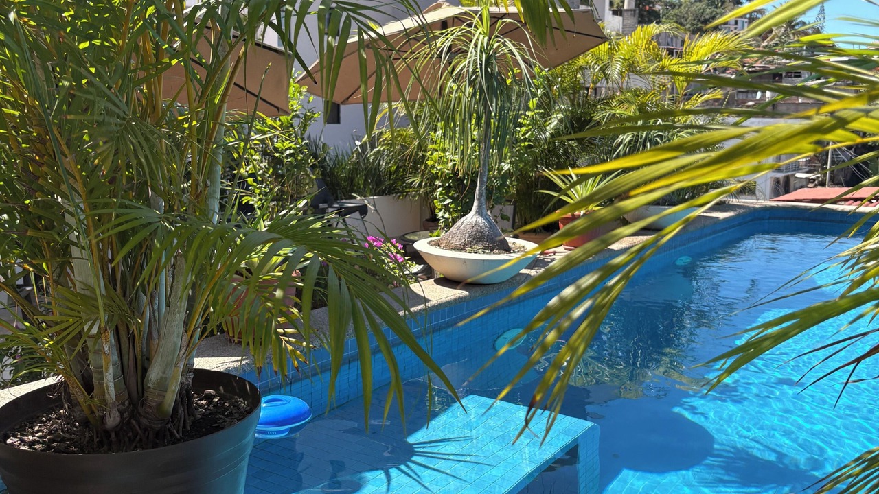 Photo of Outdoor in Alta Vista
