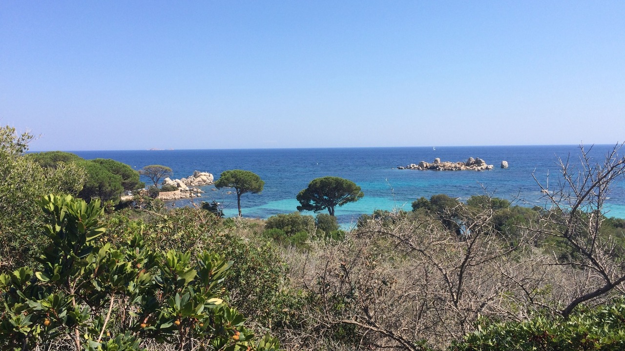 Photo of Others in Hameau de Palombaggia