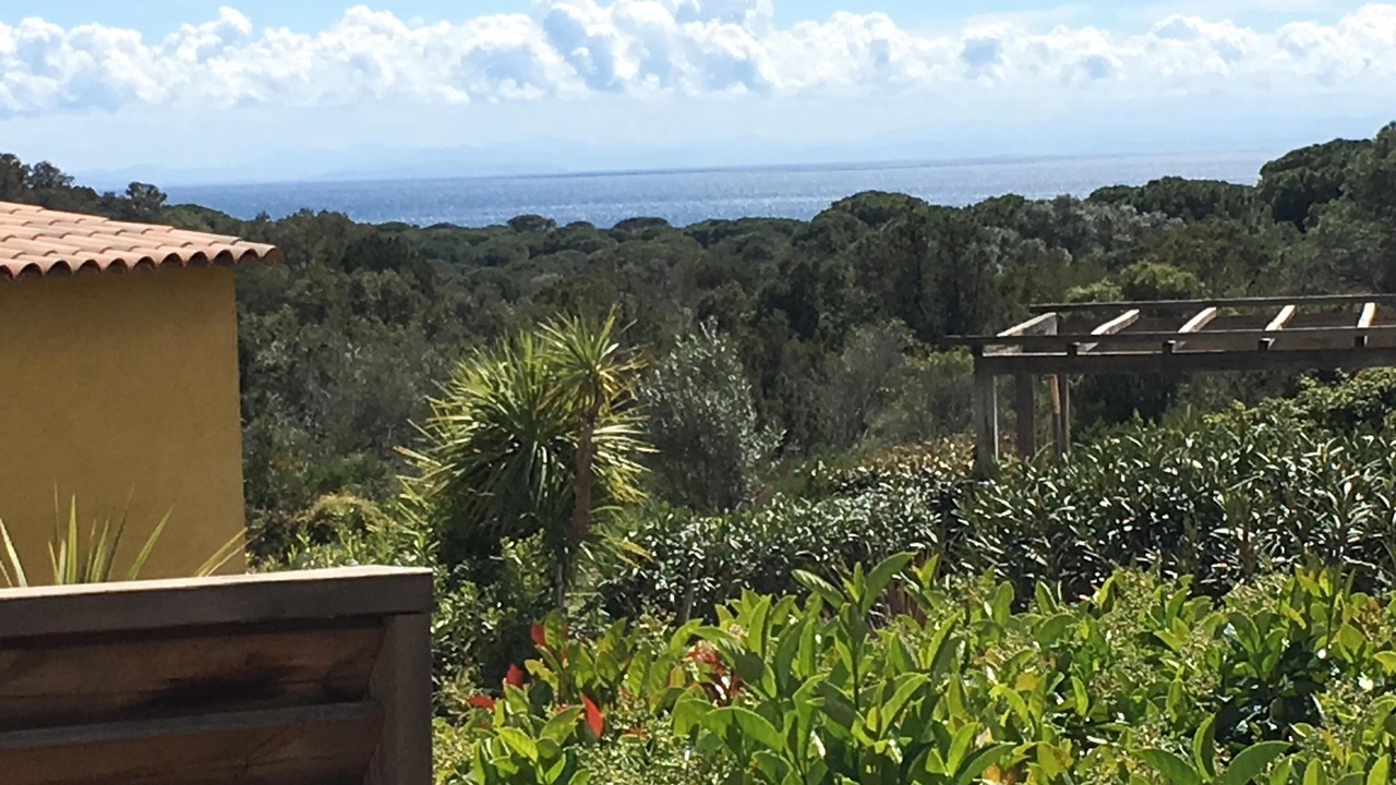 Photo of Outdoor in Hameau de Palombaggia