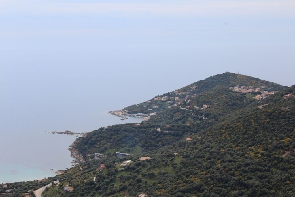 Photo of Others in Cargese