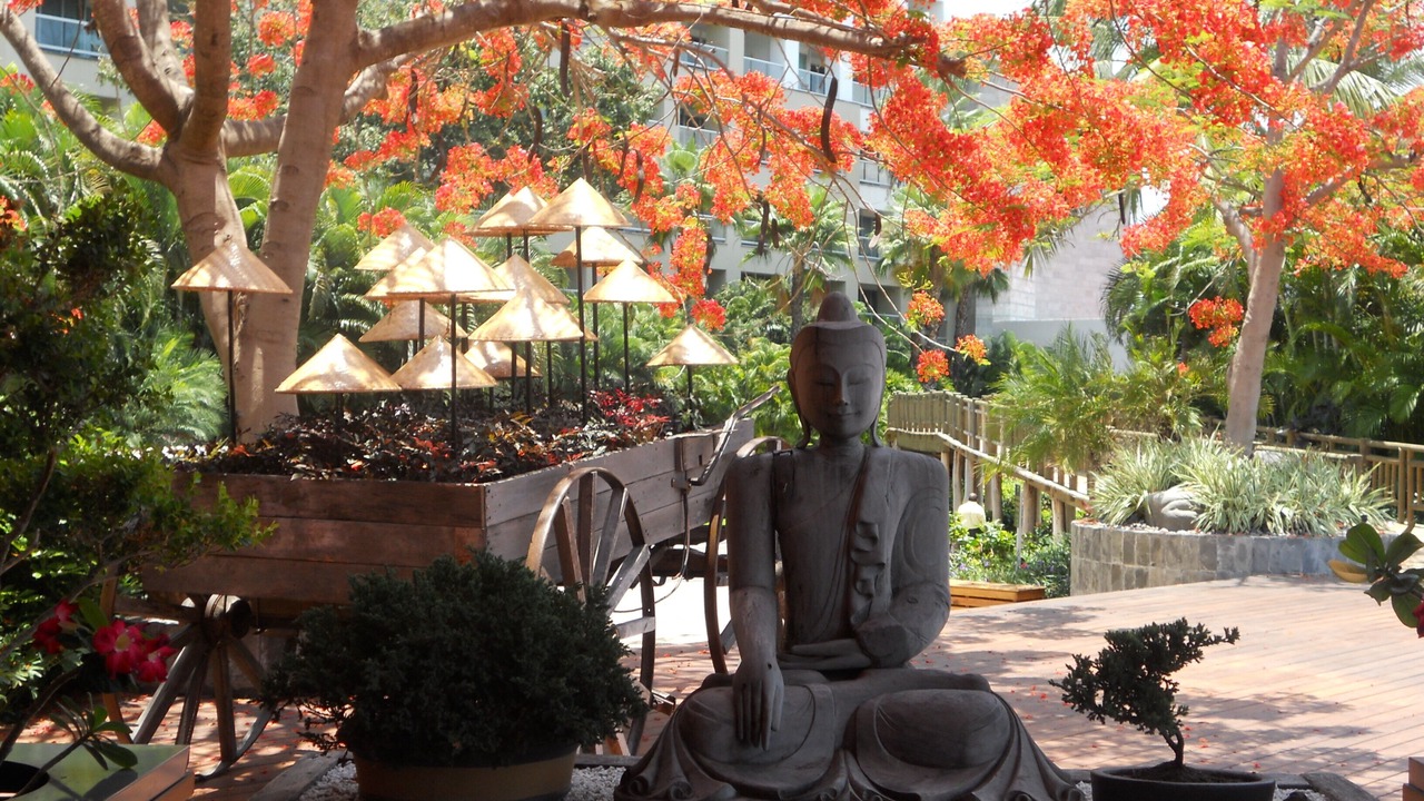 Photo of Outdoor in Nuevo Vallarta