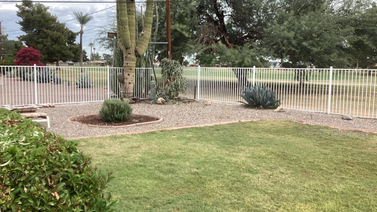 Photo of Outdoor in Sun City